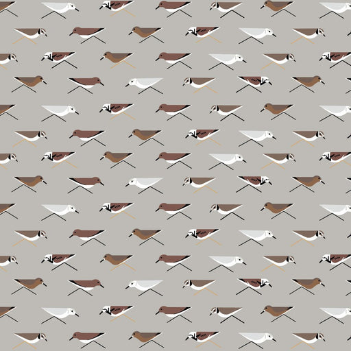 PRE - Order Coastal by Charley Harper - Sanderlings CH - 36 Half Yard - July 2025 - Modern Fabric Shoppe