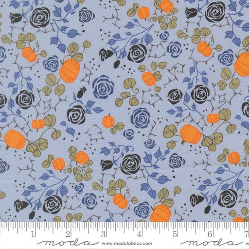 PRE - Order Coven by Robin Pickens - Coven 48803 11 Sky - Half Yard - May 2026 - Modern Fabric Shoppe
