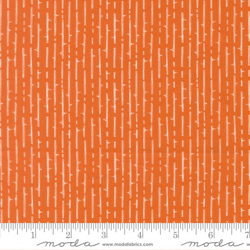 PRE - Order Coven by Robin Pickens - Coven 48806 13 Spice - Half Yard - May 2026 - Modern Fabric Shoppe