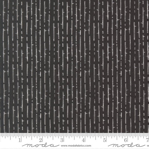 PRE - Order Coven by Robin Pickens - Coven 48806 16 Onyx - Half Yard - May 2026 - Modern Fabric Shoppe