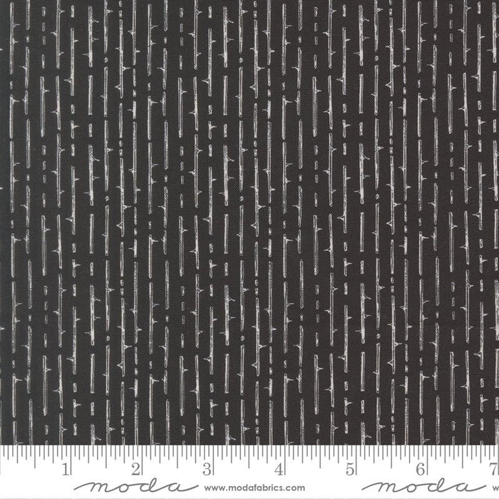 PRE - Order Coven by Robin Pickens - Coven 48806 16 Onyx - Half Yard - May 2026 - Modern Fabric Shoppe