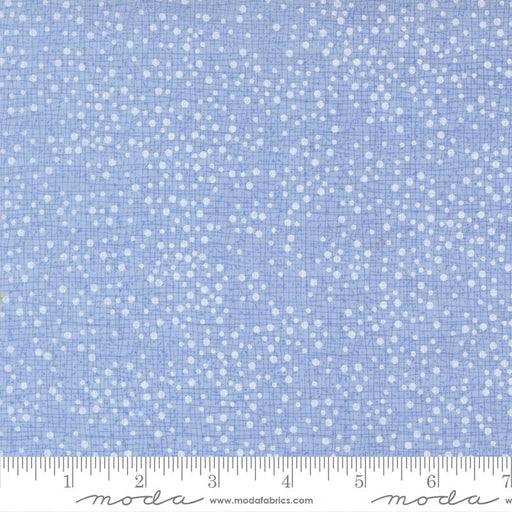 PRE - Order Coven by Robin Pickens - New Thatched 48715 232 Sky - Half Yard - May 2026 - Modern Fabric Shoppe