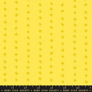 PRE-Order Daisy Days by Alexia Marcella Abegg- RS 4175 13 Chrome Yellow- Half Yard- April 2027 - Modern Fabric Shoppe
