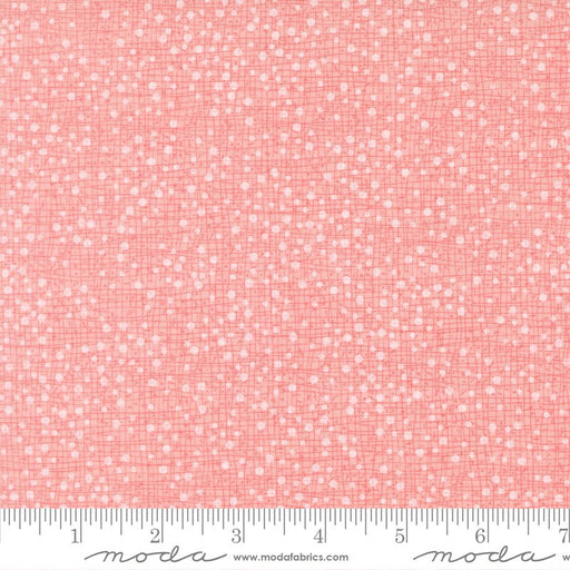 PRE - Order Darling Peony by Robin Pickens - Cotton Candy 48715 229 - Half Yard - November 2025 - Modern Fabric Shoppe