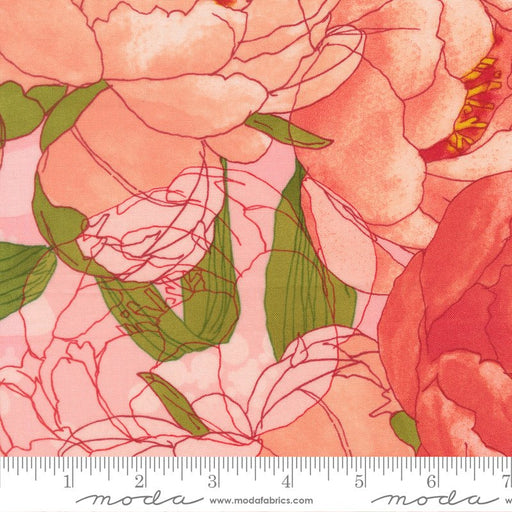 PRE - Order Darling Peony by Robin Pickens - Cotton Candy 48790 13 - Half Yard - November 2025 - Modern Fabric Shoppe
