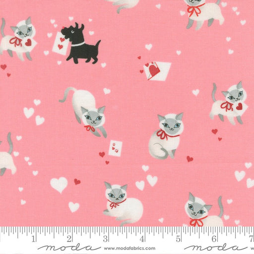 PRE - ORDER Funny Valentine by Lizzy House - Ballerina 37140 20 - Half Yard - November 2025 - Modern Fabric Shoppe