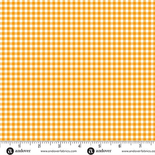 PRE - Order Ghostly Garden by KP Creates - Gingham A - 10199 - O Orange - Half Yard - March 2026 - Modern Fabric Shoppe