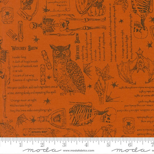 PRE-ORDER Gothic Haunt by Stacy Lest Hsu- Pumpkin 21003 17 - Half Yard- May 2027 - Modern Fabric Shoppe