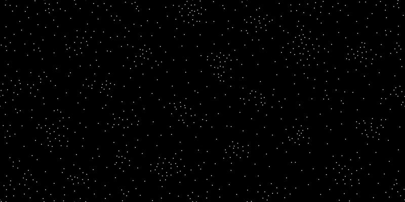 PRE - ORDER Ink Shop by Sarah Watts - Sugar RS 2141 22 - Black - Half Yard - October 2026 - Modern Fabric Shoppe