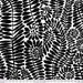 PRE - ORDER Kaffe Fassett - 108" Wide Back - Fronds QBBM005.BLACK - Half Yard - February 2025 - Modern Fabric Shoppe