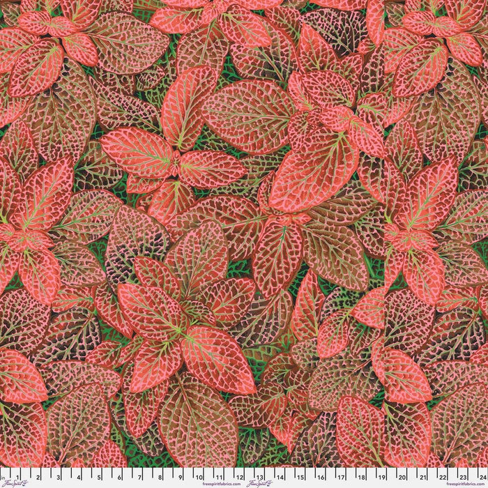 PRE-Order Kaffe Fassett August 2024 Collective- Fittonia- PWPJ129.RED- Half Yard - Modern Fabric Shoppe