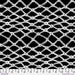 PRE - Order Kaffe Fassett February 2026 Collective - Nets PWBM036.BLACKWHITE - Half Yard - Modern Fabric Shoppe
