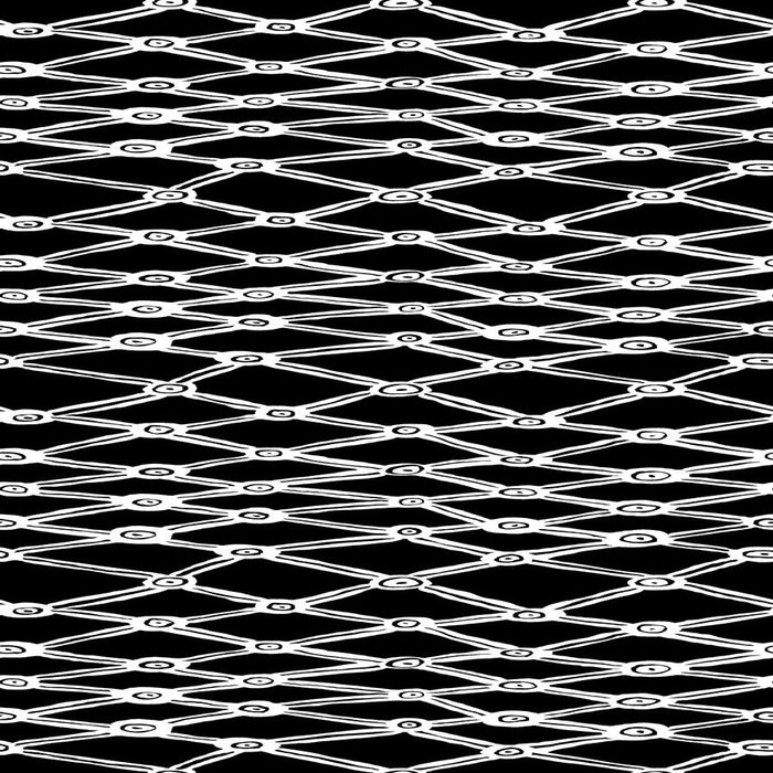 PRE - Order Kaffe Fassett February 2026 Collective - Nets PWBM036.BLACKWHITE - Half Yard - Modern Fabric Shoppe