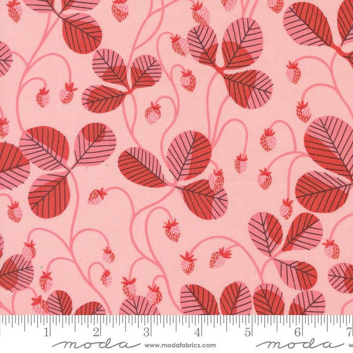 PRE - ORDER Love Letter by Lizzy House - Light Pink 37124 20 - Half Yard - January 2025 - Modern Fabric Shoppe