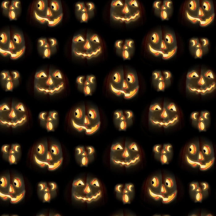 PRE - Order Moonlit Mischief by Mary Engelbreit - Pumpkin Glow PWMY048.BLACK - Half Yard May 2026 - Modern Fabric Shoppe