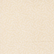 PRE - ORDER My Secret Garden by Stacy Lest Hsu - White 20986 31 - Half Yard - July 2026 - Modern Fabric Shoppe