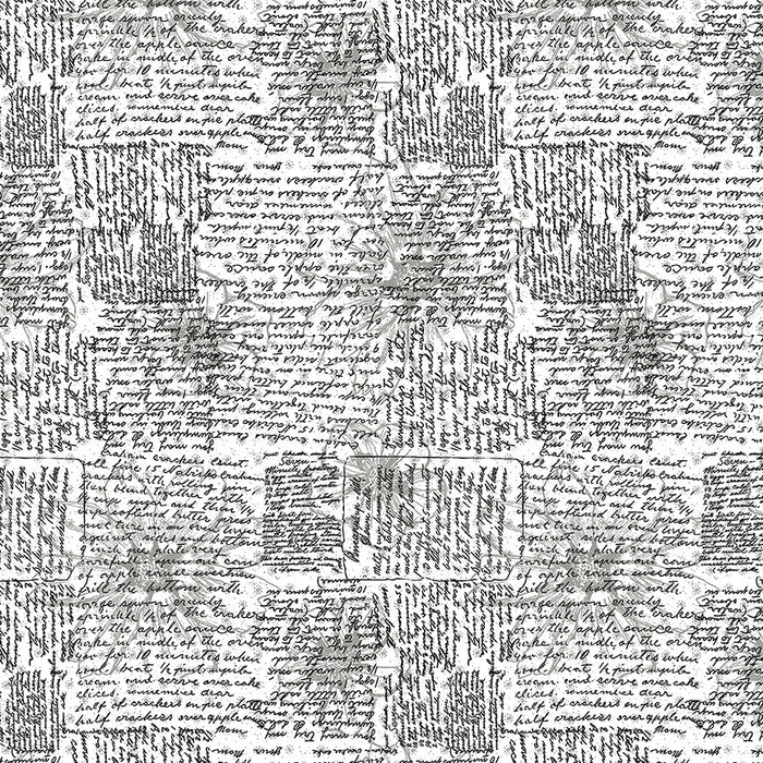 PRE - Order Natalie Barnes - Winding Road - Directions 55011 - 7 Black/White - Half Yard - March 2026 - Modern Fabric Shoppe
