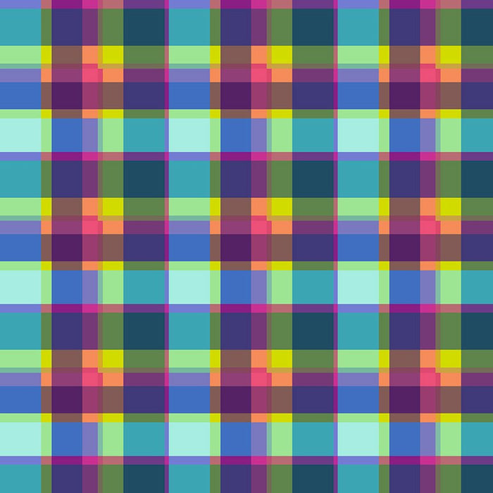 PRE - Order Natalie Barnes - Winding Road - Summer Plaid 55007 - X Multi - Half Yard - March 2026 - Modern Fabric Shoppe