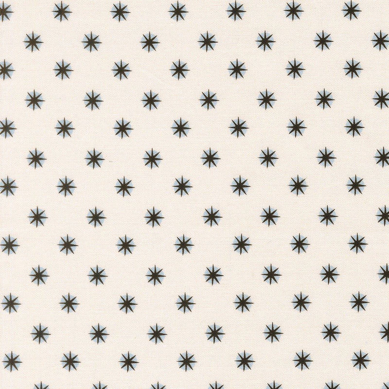 PRE-ORDER Only Treats by Lizzy House- Ghost 37158 11 - Half Yard- June 2027 - Modern Fabric Shoppe