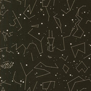 PRE-ORDER Only Treats by Lizzy House- Midnight 37156 21 - Half Yard- June 2027 - Modern Fabric Shoppe