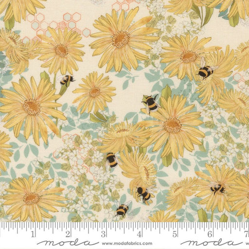 PRE - Order Pollinators by Robin Pickens - Cloud 48811 11 - Half Yard - December 2026 - Modern Fabric Shoppe