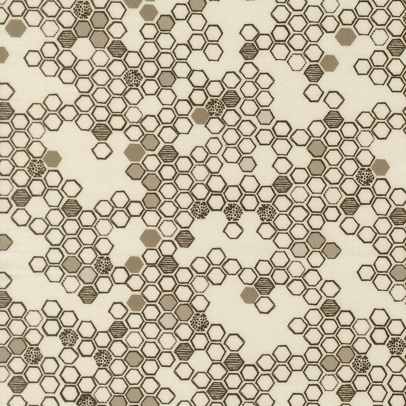 PRE - Order Pollinators by Robin Pickens - Cloud 48815 11 - Half Yard - December 2026 - Modern Fabric Shoppe