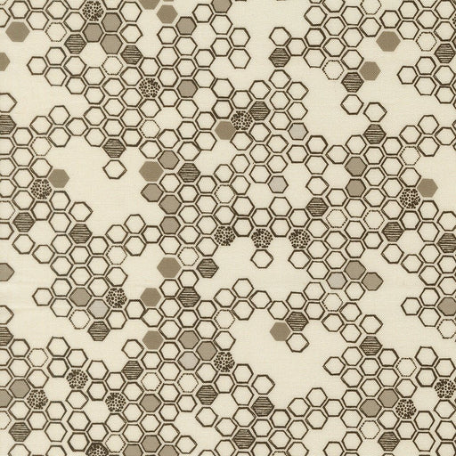 PRE - Order Pollinators by Robin Pickens - Cloud 48815 11 - Half Yard - December 2026 - Modern Fabric Shoppe