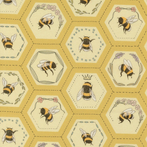 PRE - Order Pollinators by Robin Pickens - Honey 48814 13 - Half Yard - December 2026 - Modern Fabric Shoppe