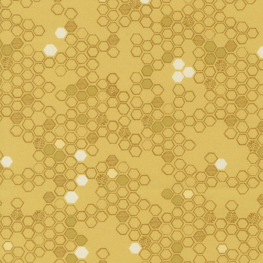 PRE - Order Pollinators by Robin Pickens - Honey 48815 13 - Half Yard - December 2026 - Modern Fabric Shoppe