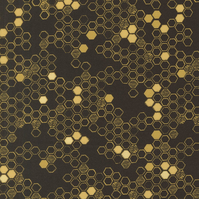 PRE - Order Pollinators by Robin Pickens - Onyx 48815 20 - Half Yard - December 2026 - Modern Fabric Shoppe