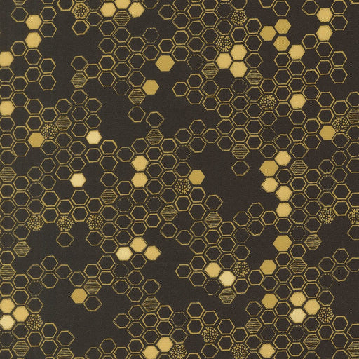 PRE - Order Pollinators by Robin Pickens - Onyx 48815 20 - Half Yard - December 2026 - Modern Fabric Shoppe