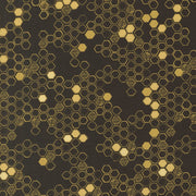 PRE - Order Pollinators by Robin Pickens - Onyx 48815 20 - Half Yard - December 2026 - Modern Fabric Shoppe