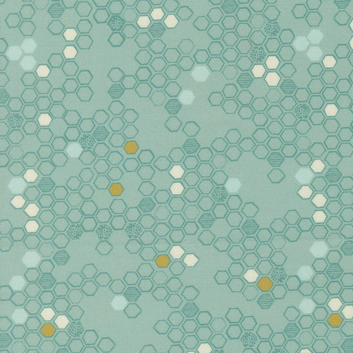 PRE - Order Pollinators by Robin Pickens - Stream 48815 16 - Half Yard - December 2026 - Modern Fabric Shoppe