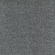 PRE - Order Pollinators by Robin Pickens - Thatched Dark Pewter 48626 165 - Half Yard - December 2026 - Modern Fabric Shoppe