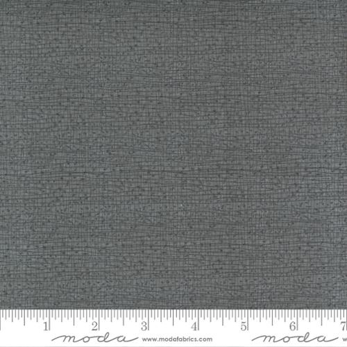 PRE - Order Pollinators by Robin Pickens - Thatched Dark Pewter 48626 165 - Half Yard - December 2026 - Modern Fabric Shoppe