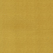 PRE - Order Pollinators by Robin Pickens - Thatched Golden 48626 218 - Half Yard - December 2026 - Modern Fabric Shoppe