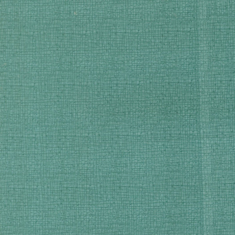 PRE - Order Pollinators by Robin Pickens - Thatched Stream 48626 221 - Half Yard - December 2026 - Modern Fabric Shoppe