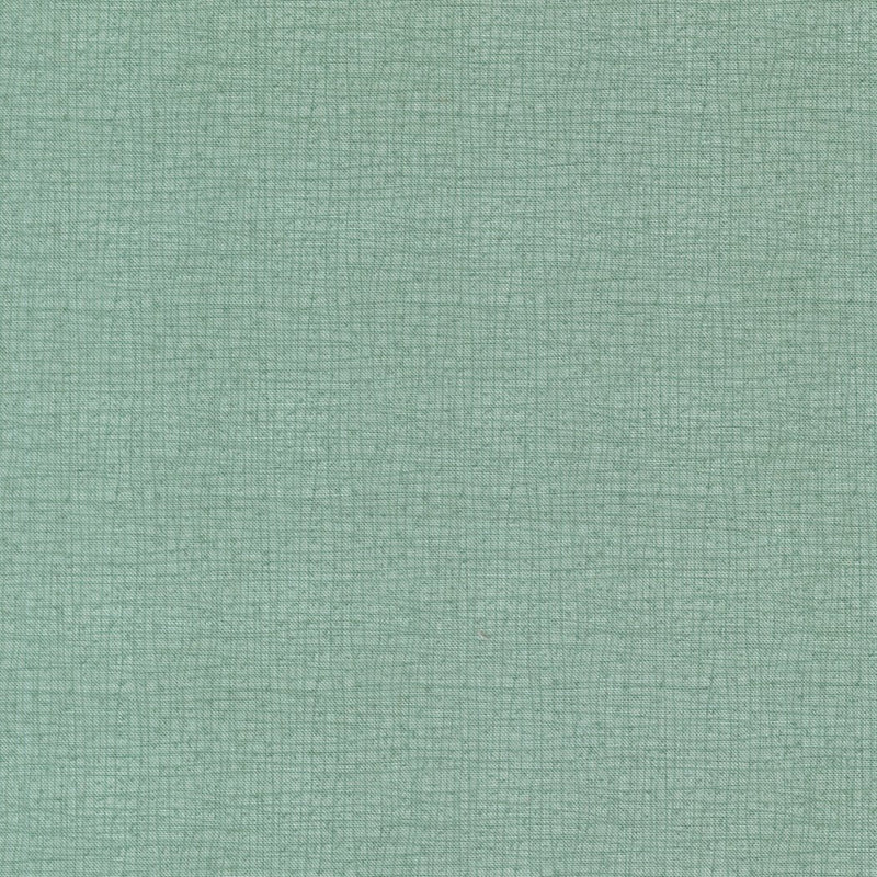 PRE - Order Pollinators by Robin Pickens - Thatched Water 48626 220 - Half Yard - December 2026 - Modern Fabric Shoppe