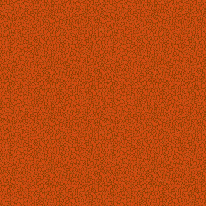 PRE - Order Pop Sugar by Heather Bailey - Skipping Stones 92059 - 36 Persimmon - Half Yard - April 2025 - Modern Fabric Shoppe