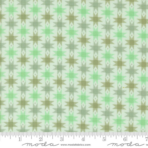 PRE - Order Popcorn by Elizabeth Hartman - Aqua 51281 17 - Half Yard - November 2026 - Modern Fabric Shoppe