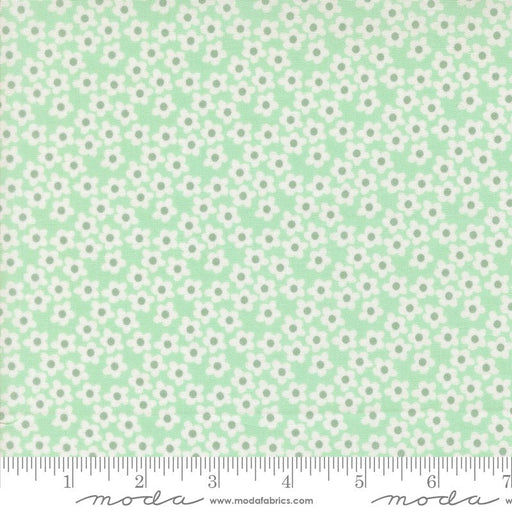 PRE - Order Popcorn by Elizabeth Hartman - Aqua 51282 27 - Half Yard - November 2026 - Modern Fabric Shoppe