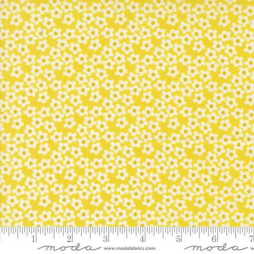 PRE - Order Popcorn by Elizabeth Hartman - Chartreuse 51282 24 - Half Yard - November 2026 - Modern Fabric Shoppe