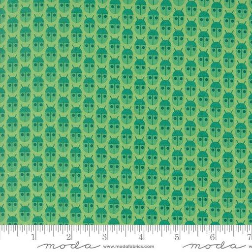PRE - Order Popcorn by Elizabeth Hartman - Jade 51280 15 - Half Yard - November 2026 - Modern Fabric Shoppe
