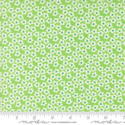 PRE - Order Popcorn by Elizabeth Hartman - Mint 51282 16 - Half Yard - November 2026 - Modern Fabric Shoppe