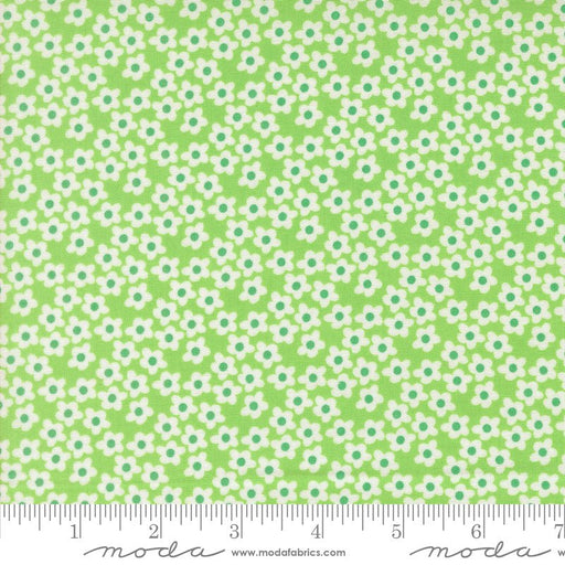 PRE - Order Popcorn by Elizabeth Hartman - Mint 51282 16 - Half Yard - November 2026 - Modern Fabric Shoppe
