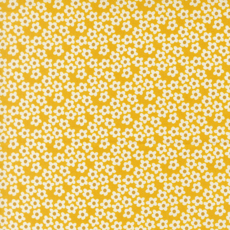 PRE - Order Popcorn by Elizabeth Hartman - Orange 51282 25 - Half Yard - November 2026 - Modern Fabric Shoppe