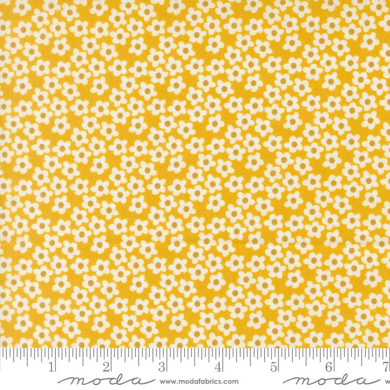 PRE - Order Popcorn by Elizabeth Hartman - Orange 51282 25 - Half Yard - November 2026 - Modern Fabric Shoppe