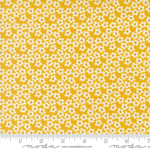 PRE - Order Popcorn by Elizabeth Hartman - Orange 51282 25 - Half Yard - November 2026 - Modern Fabric Shoppe