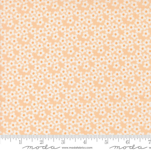 PRE - Order Popcorn by Elizabeth Hartman - Peach 51282 29 - Half Yard - November 2026 - Modern Fabric Shoppe