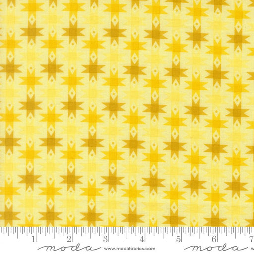 PRE - Order Popcorn by Elizabeth Hartman - Sunshine 51281 13 - Half Yard - November 2026 - Modern Fabric Shoppe